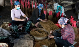 Làng làm hương truyền thống tất bật những ngày cận Tết 2026