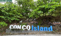 Tết bệnh viện (4): Những 'chiến sĩ áo trắng' nơi đảo tiền tiêu