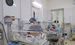 Trong dịp đoàn viên, những cuộc "chạy đua" vẫn tiếp diễn