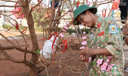 Bác sĩ Việt Nam tại Phái bộ Liên Hợp Quốc giữ trọn hương Xuân