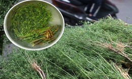 Vì sao nên tắm nước lá mùi già vào ngày cuối năm?