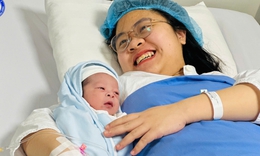 Ngắm 'chàng Ngựa vàng'  'xông đất' Bệnh viện Phụ sản Trung ương