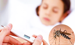 Tết Bính Ngọ, một số dịch bệnh tăng nhẹ ca mắc ngày mùng 3 Tết