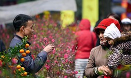 Miền Bắc rét buốt kèm mưa nhỏ ngày mùng 3 Tết Nguyên đán