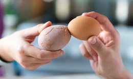 4 nhóm người nên ăn trứng hằng ngày