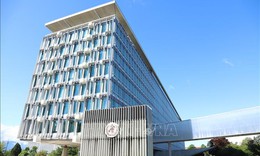 WHO: Cắt giảm tài trợ tạo cơ hội tái cấu trúc, xây dựng tổ chức tinh gọn hơn