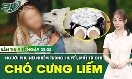 Bản Tin Y Tế 22/2: Chó cưng liếm vào vết xước nhỏ, người phụ nữ nhiễm trùng huyết mất tứ chi