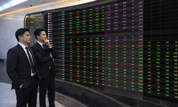 Chứng khoán khai xuân rực rỡ phiên ngày 23/2