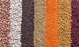 3 loại hạt giàu magie giúp người cao tuổi ngủ ngon