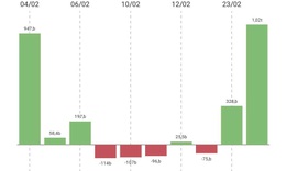 Vì sao nhà đầu tư nước ngoài cấp tập gom cổ phiếu HPG?