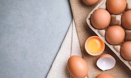 Ăn trứng thường xuyên giúp giảm nguy cơ tử vong do bệnh tim mạch ở người lớn tuổi