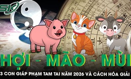 Hợi - Mão - Mùi: 3 con giáp phạm Tam Tai năm 2026 và cách hóa giải nên biết để phòng tránh xui xẻo