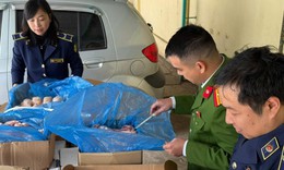 Phát hiện hàng tấn xương lợn trôi nổi, không nguồn gốc đang trên đường đi tiêu thụ