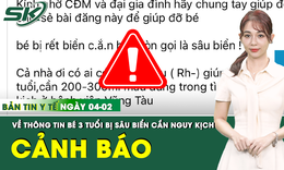 Bản tin Y tế 4/2: Bệnh viện lên tiếng về thông tin bé 3 tuổi bị sâu biển cắn, cần truyền máu gấp