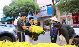 Hoa Tết 'xuống phố', Đắk Lắk ngập tràn sắc xuân
