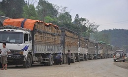 Thủ tướng chỉ đạo ban hành ngay Nghị quyết tháo gỡ vướng mắc liên quan đến Nghị định 46