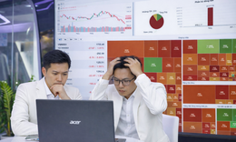 Chứng khoán tiếp tục bị bán tháo với 643 mã chìm trong sắc đỏ