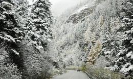 Vì sao Sa Pa ngày càng hiếm tuyết rơi?