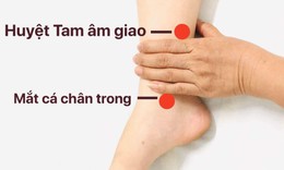 Xoa bóp bấm huyệt giúp giảm mệt mỏi sau Tết