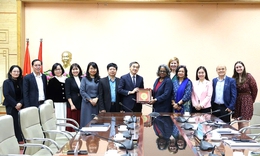 CTFK đề xuất đưa quy định cấm trưng bày sản phẩm thuốc lá tại các điểm bán vào văn bản pháp luật