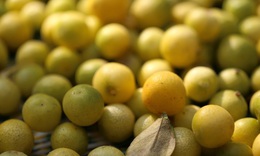 Loại quả nhỏ xíu được trồng khắp Việt Nam, đứng đầu danh sách quả 'tốt nhất thế giới', giá chỉ vài nghìn đồng, ăn cực tốt