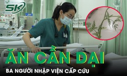 Ăn cần dại ba người nhập viện cấp cứu 