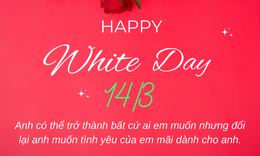 Lời chúc ngày Valentine 14/3 - Valentine trắng tặng người yêu ngọt ngào