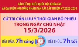 Cử tri cần lưu ý thời gian bỏ phiếu trong ngày Chủ Nhật 15/3/2026