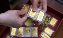 Chốt giá vàng hôm nay ngày 14/3 chưa ngừng giảm cực mạnh