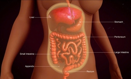 Ung thư phúc mạc phức tạp gia tăng, các chuyên gia hội tụ ở Singapore chia sẻ kinh nghiệm chẩn đoán, điều trị