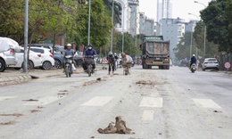 Hà Nội: Xe tải làm rơi đất trên đường, CSGT truy tận công trường xử lý