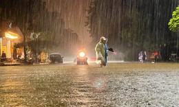 Bão 2026 có thể ít hơn trung bình nhưng rủi ro thiên tai cao hơn