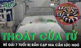 Bé gái 7 tuổi thoát cửa tử sau khi bị rắn cạp nia cắn lúc ngủ 
