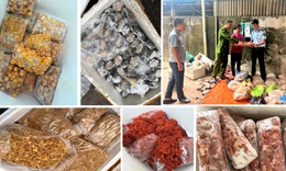 Thu giữ 4 tấn nầm lợn, tràng trứng... không nguồn gốc sắp ‘đổ bộ’ xuống các quán nướng vỉa hè