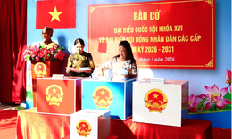 TPHCM công bố 125 đại biểu trúng cử HĐND nhiệm kỳ 2026-2031
