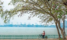 Miền Bắc duy trì thời tiết mát mẻ dễ chịu do không khí lạnh nhẹ tác động