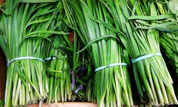 Tác dụng của rau hẹ với sức khỏe: Từ món ăn quen thuộc đến vị thuốc tự nhiên