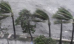 Chuyển pha El Nino, thời tiết biến động mạnh và khó dư báo hơn