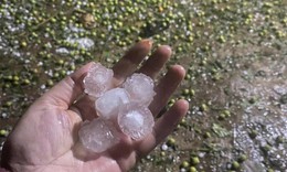 2 trạm y tế và 7 điểm trường bị hư hỏng do dông lốc, mưa đá ở Tuyên Quang