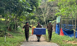 Cận cảnh nhiều động vật hoang dã quý hiếm về lại rừng già