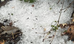 Mưa đá, dông lốc gây thiệt hại hàng trăm nhà ở tại miền núi phía Bắc