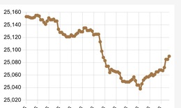 Tỷ giá trung tâm USD 23/3 áp sát 26.000 đồng
