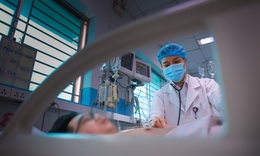 Sốt xuất huyết Dengue và những dự định dở dang bên giường bệnh