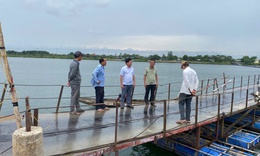 Chưa thống nhất cầu hay bè, cầu phao vẫn tạm dừng hoạt động