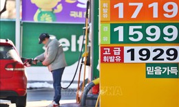 Châu Á cân nhắc đối phó với khủng hoảng nhiên liệu như thời COVID-19