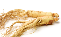 Thời điểm tốt nhất dùng nhân sâm tăng năng lượng và cải thiện trí não