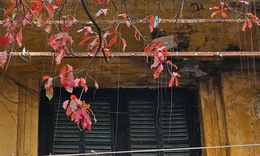 Miền Bắc mưa rải rác buổi sáng, hửng nắng vào trưa chiều