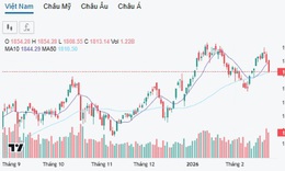 Chứng khoán chìm trong sắc đỏ