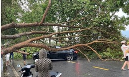 13 người thương vong do dông lốc, mưa đá hàng loạt ở các tỉnh miền Bắc