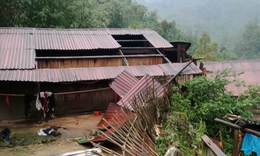 Dông lốc và mưa đá gây thiệt hại tại Lào Cai và Cao Bằng